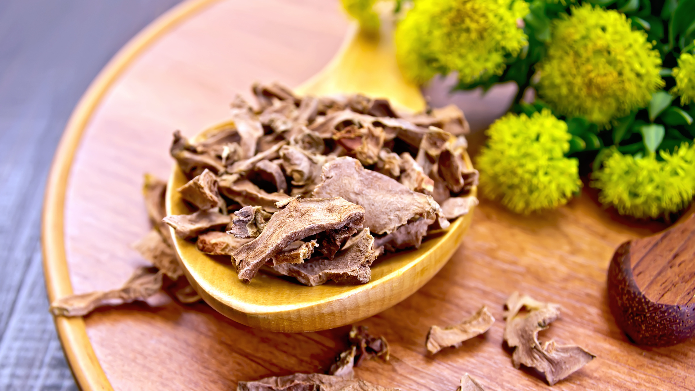 Dried Rhodiola Rosea root pieces on wooden spoon with yellow flowers