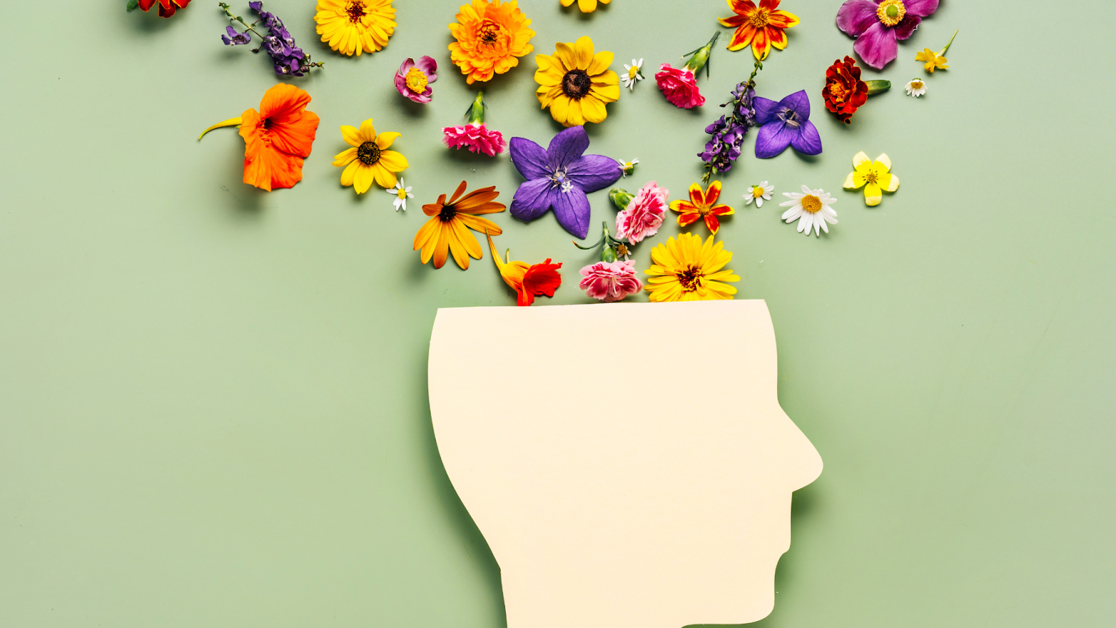 Paper cutout of a head with colorful flowers flowing out