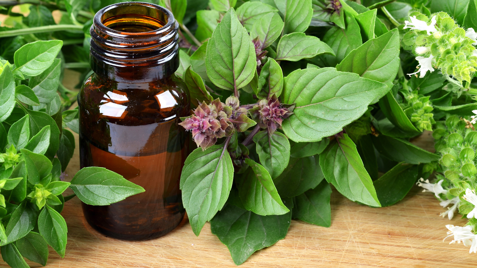 Brown glass bottle surrounded by fresh holy basil leaves and flowers