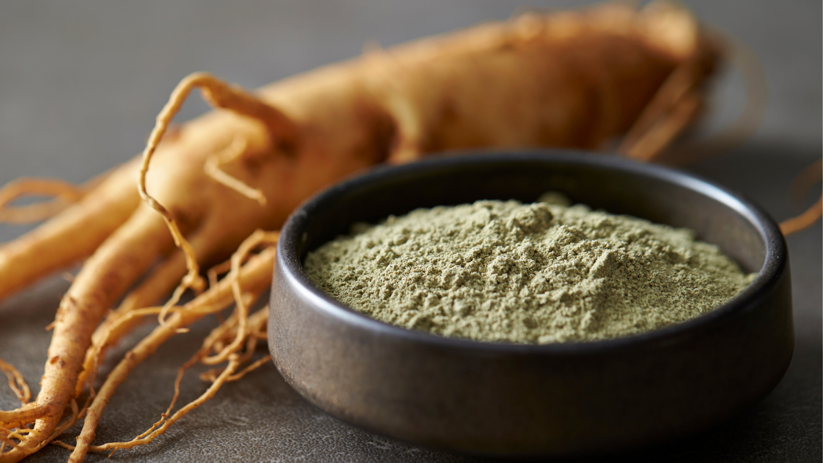 Panax ginseng root with powdered ginseng in a bowl