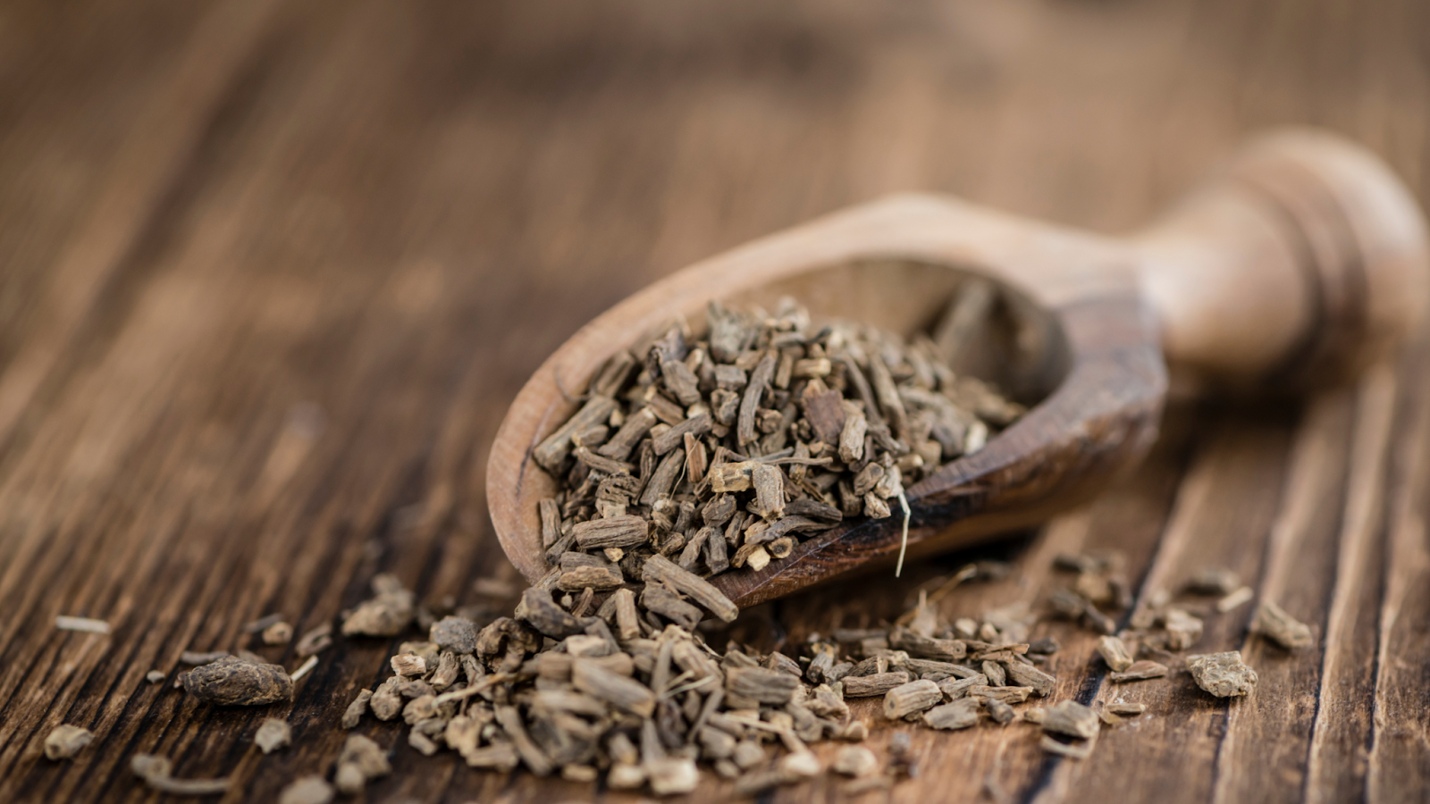 Dried valerian root pieces in a wooden scoop on table
