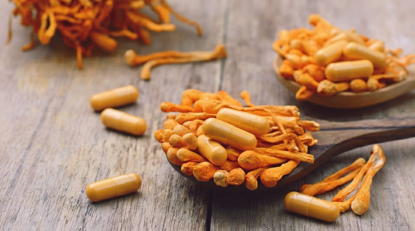cordyceps