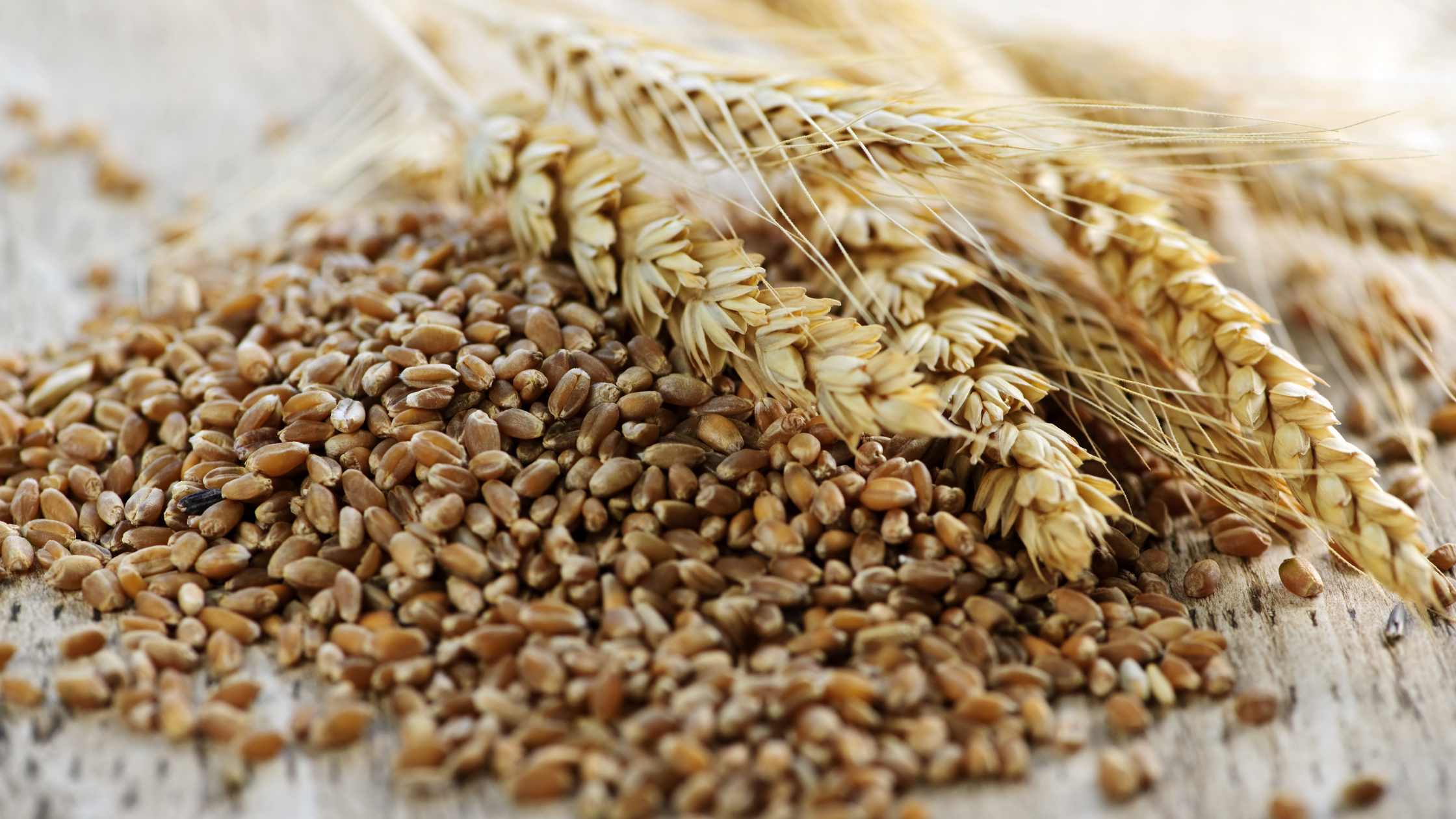 Wheat grains and wheat stalks on a wooden surface