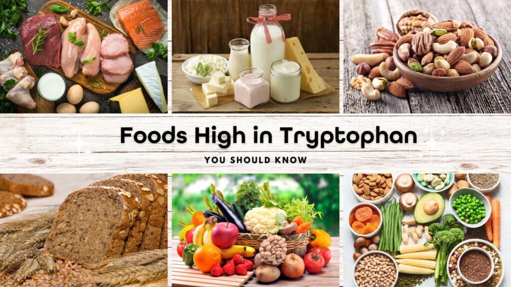 A variety of foods high in tryptophan, including turkey breast, salmon, eggs, tofu, cheese, nuts, seeds, and soybeans, arranged on a wooden table.