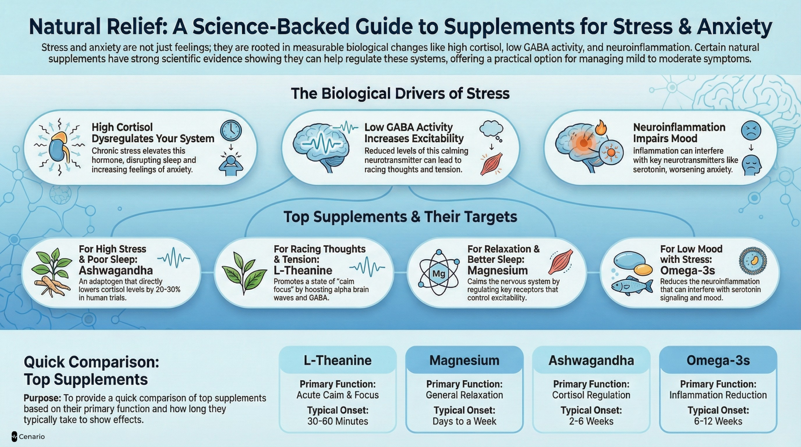 Infographic on biological stress drivers and top supplements for anxiety relief