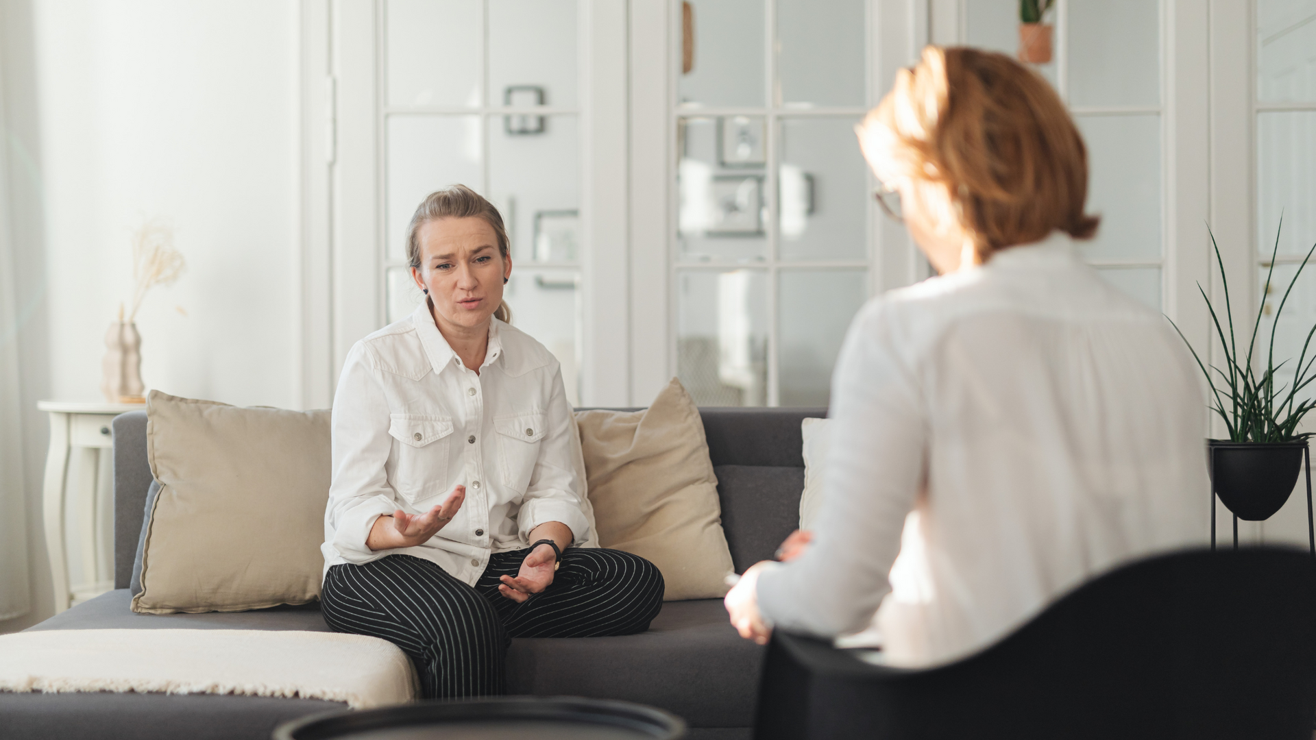 Illustration of dialectical behavior therapy showing a therapist guiding a client through mindfulness, distress tolerance, emotion regulation, and interpersonal skills.