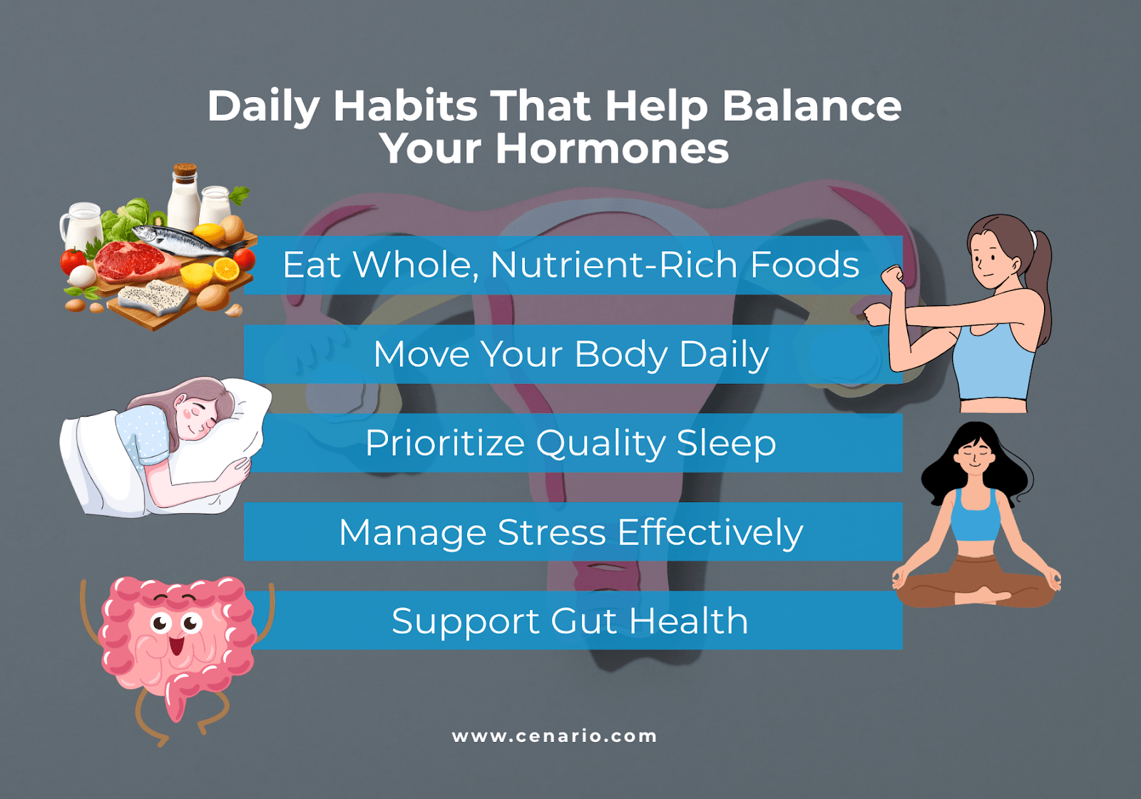 Infographic listing daily habits to balance hormones with related illustrations