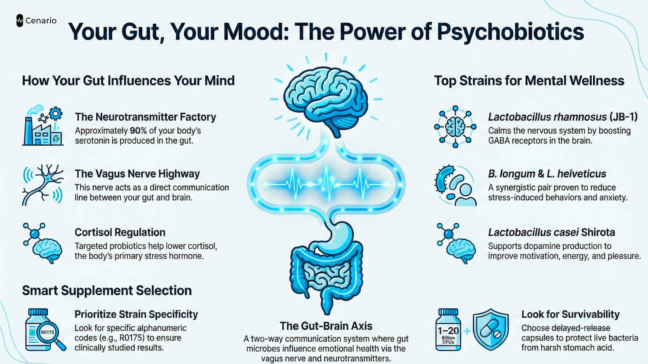 Infographic showing how gut health influences mood and top probiotic strains
