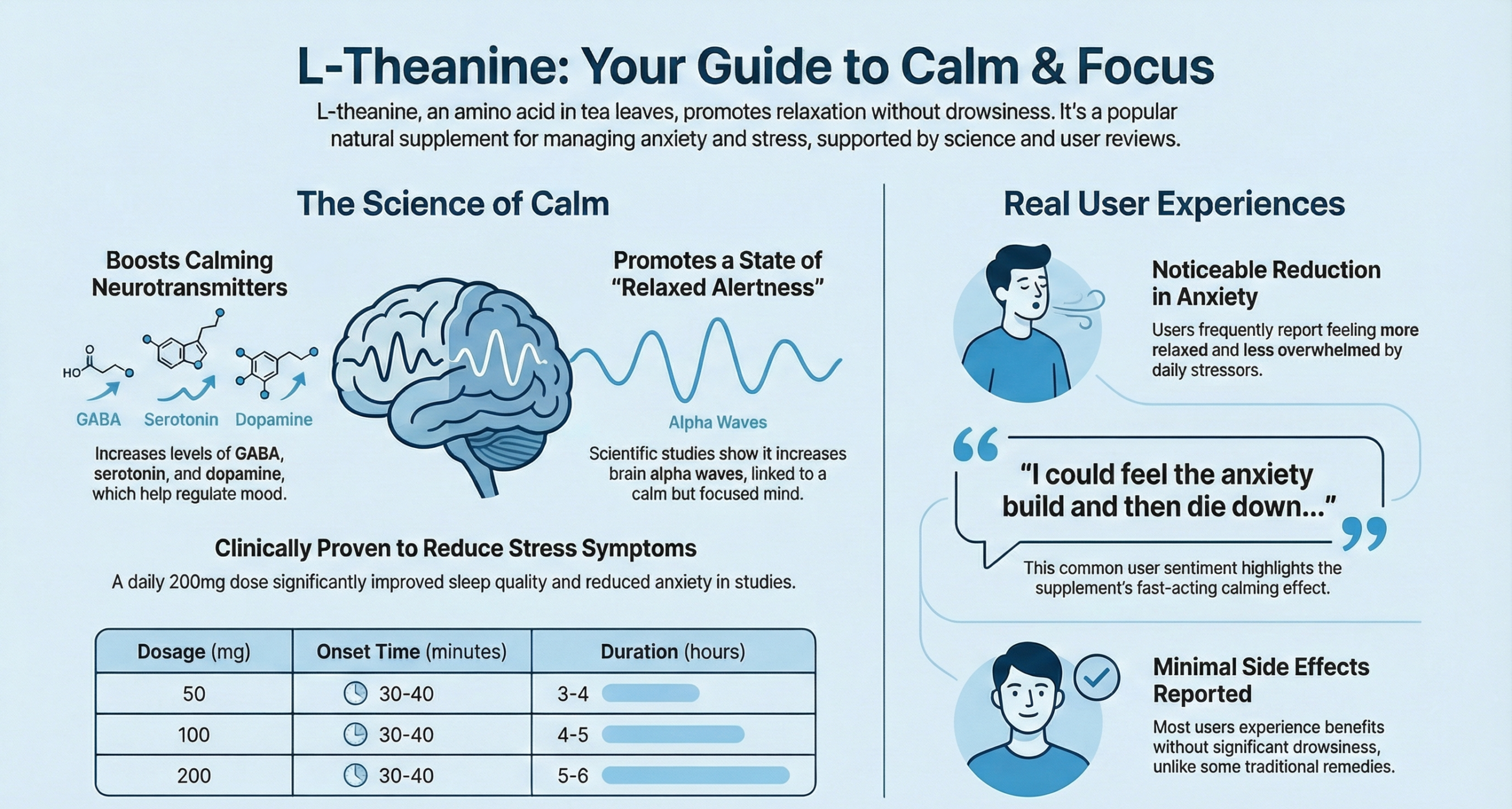 Infographic explaining L-Theanine benefits for calm and focus