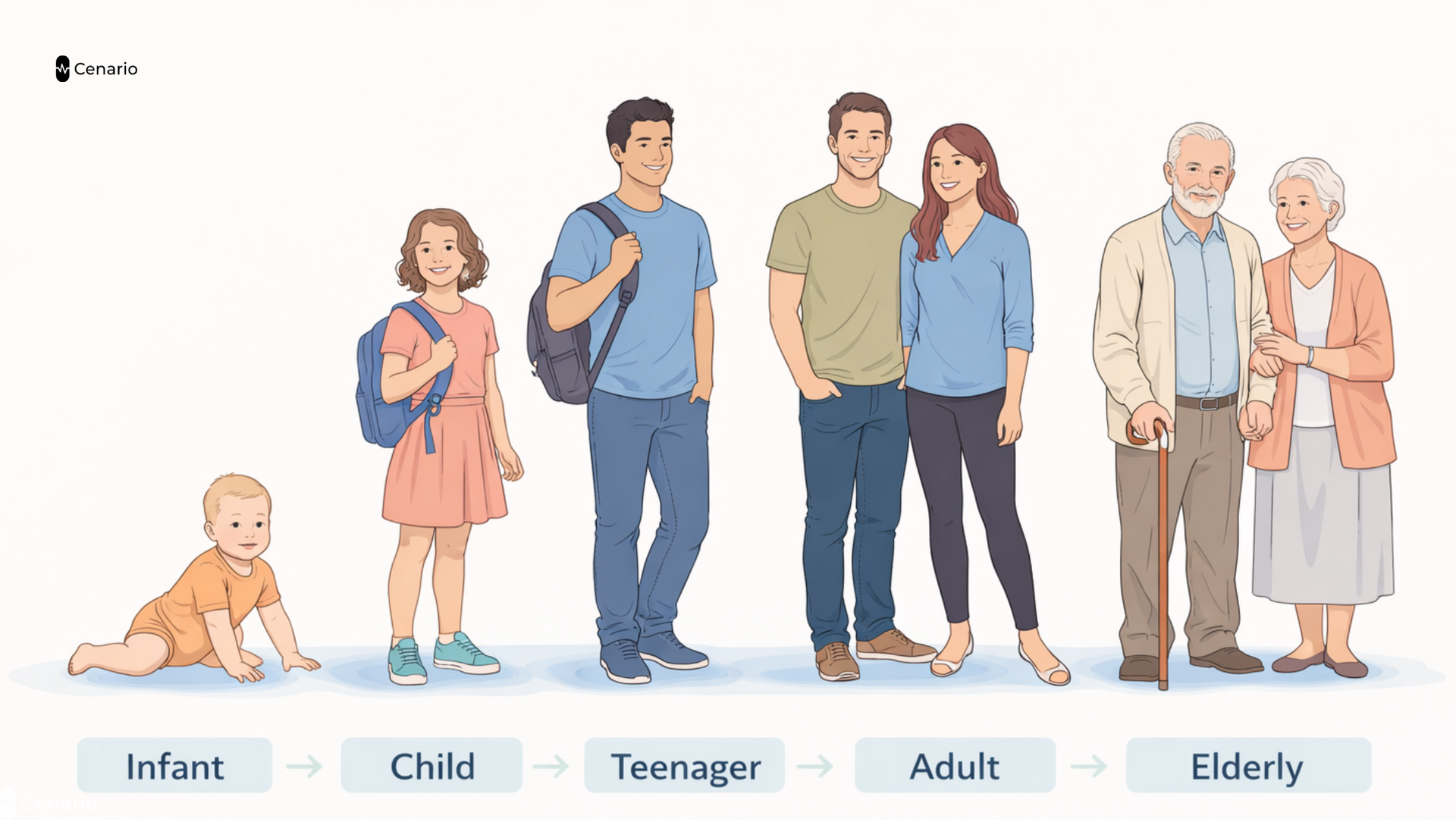 Illustration showing stages of human growth from infancy to adulthood, highlighting key milestones in developmental psychology.